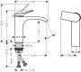 Hansgrohe Vivenis Egykaros mosdócsaptelep 110 hidegindítású, automata lefolyógarnitúra nélkül, matt fekete 75024670